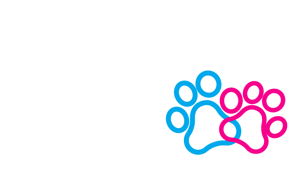 Logo DogsPair